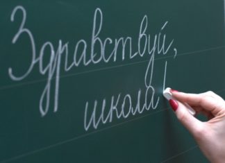 245 вакансий доступно участникам программы «Земский учитель» в Алтайском крае