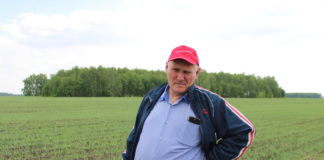 Дело за погодой