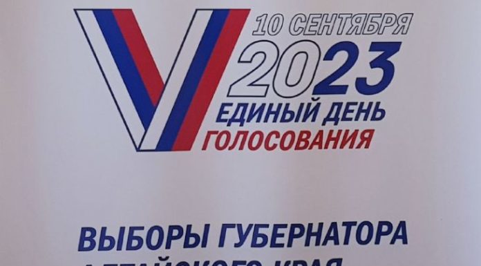Проголосовать можно будет дистанционно