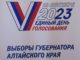Проголосовать можно будет дистанционно