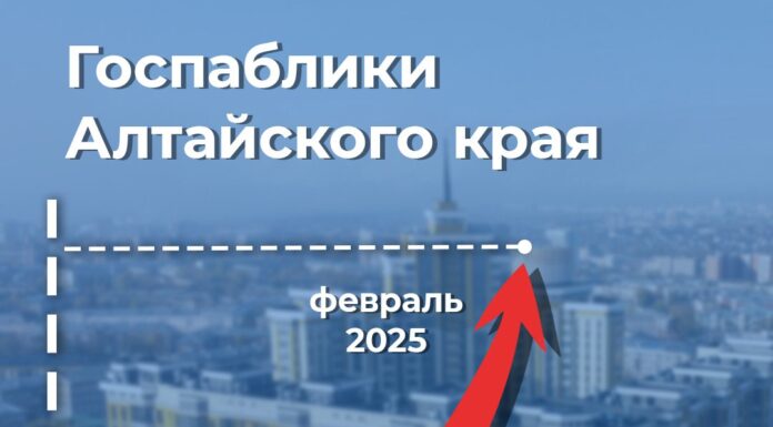 В Алтайском крае выросло количество подписчиков госпабликов