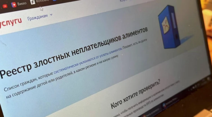На Госуслугах заработал реестр злостных неплательщиков алиментов