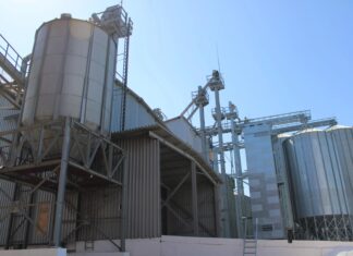 Губернатор Алтайского края Виктор Томенко принял участие в совместном совещании по итогам работы промышленности и энергетики в 2025 году